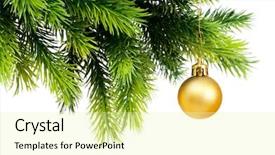  Presentation with events and decoration presentation - Slides with tree branch - christmas decoration isolated background and a blonde colored foreground