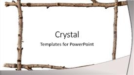  Presentation with frame - Slides having tree branch - twig frame background and a white colored foreground