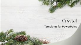  Presentation with olive tree branch ripe - Colorful PPT theme enhanced with tree branch covered by snow backdrop and a white colored foreground