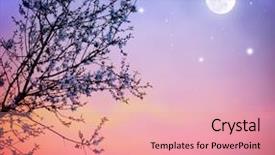  Presentation with beautiful spring flowers - Presentation theme featuring tree branch in moonlight background and a coral colored foreground