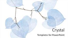  Presentation with branch - Presentation theme with tree branch with dried leaves background and a white colored foreground