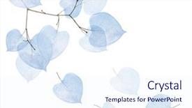  Presentation with branch - PPT layouts having tree branch with dried leaves background and a sky blue colored foreground