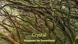  Presentation with rural - PPT theme with tree branches in anaga rural park tenerife background and a tawny brown colored foreground