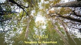  Presentation with low angle view of fictitious - PPT theme enhanced with tree-branches-low-angle-view background and a tawny brown colored foreground