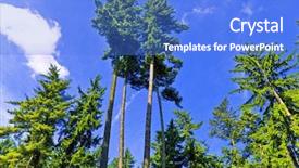  Presentation with tall - Presentation theme enhanced with tree canopy in spring time background and a cobalt blue colored foreground