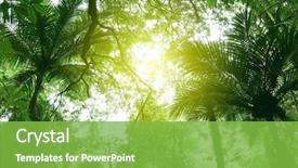  Presentation with africa jungle - Colorful PPT theme enhanced with tree canopy in tropical jungle backdrop and a seafoam green colored foreground