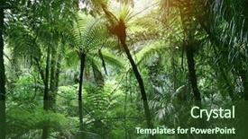  Presentation with jungle - Slide deck with tree canopy in tropical jungle background and a tawny brown colored foreground