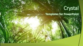  Presentation with jungle - PPT theme having tree canopy in tropical jungle background and a tawny brown colored foreground