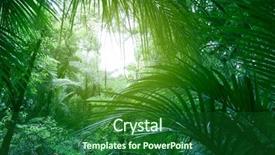  Presentation with tiger in a jungle - Amazing slide set having tree canopy in tropical jungle backdrop and a forest green colored foreground