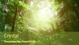  Presentation with jungle - Beautiful slide deck featuring tree-canopy-in-tropical-jungle backdrop and a tawny brown colored foreground
