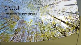  Presentation with tall - Cool new theme with tree canopy backdrop and a light blue colored foreground