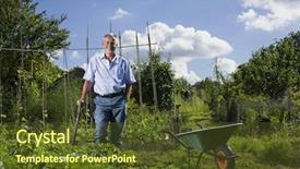  Presentation with wheel - PPT theme with tree communties - portrait of happy senior man background and a tawny brown colored foreground