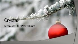  Presentation with single tree - Audience pleasing slides consisting of tree copypace for your message backdrop and a light gray colored foreground