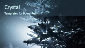  Presentation with snow tree - PPT layouts consisting of tree covered with fresh snow background and a ocean colored foreground