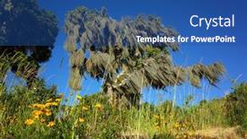  Presentation with chile - Beautiful PPT theme featuring tree-covered-with-spanish-moss backdrop and a ocean colored foreground