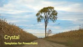  Presentation with geese - Cool new presentation with tree during autumn season geese backdrop and a tawny brown colored foreground