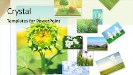  Presentation with nature - Presentation having tree eco green tech - tablet pc in hands background and a  colored foreground