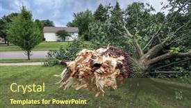  Presentation with thunderstorm - Theme consisting of tree-fallen-down-during background and a tawny brown colored foreground