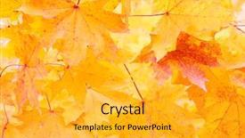  Presentation with school budget orange - Cool new presentation theme with tree falling leaves - orange maple leafs backdrop and a yellow colored foreground