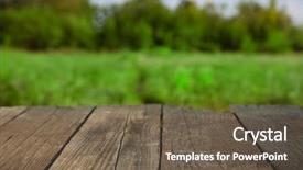  Presentation with focus - Amazing PPT layouts having tree features - blank old wooden table backdrop and a  colored foreground
