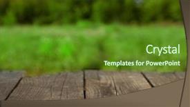  Presentation with summer - Cool new theme with tree features - blank old wooden table backdrop and a  colored foreground