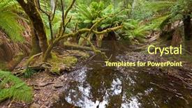  Presentation with growing tree - Colorful PPT theme enhanced with tree ferns growing near creek backdrop and a tawny brown colored foreground