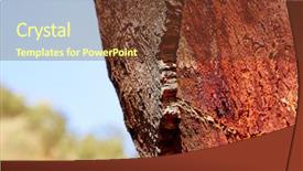  Presentation with cork - Slide deck featuring tree forest in valencian community background and a  colored foreground