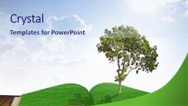  Presentation with growing tree - Beautiful presentation design featuring tree growing from a book backdrop and a light blue colored foreground
