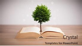 Presentation with growing tree - Theme consisting of tree growing from an open background and a coral colored foreground