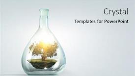  Presentation with growing tree - Presentation theme having tree-growing-inside-clear-glass background and a  colored foreground
