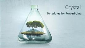 Presentation with growing tree - Theme with tree-growing-inside-clear-glass background and a sky blue colored foreground