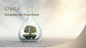  Presentation with growing tree - PPT theme with tree-growing-inside-clear-glass background and a lemonade colored foreground