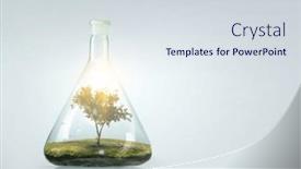  Presentation with growing tree - Presentation consisting of tree-growing-inside-clear-glass background and a sky blue colored foreground