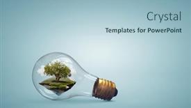  Presentation with growing tree - Theme with tree-growing-inside-light-bulb background and a  colored foreground