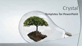  Presentation with growing tree - Slides consisting of tree-growing-inside-light-bulb background and a light gray colored foreground