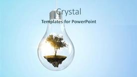  Presentation with growing tree - PPT theme with tree-growing-inside-light-bulb background and a sky blue colored foreground