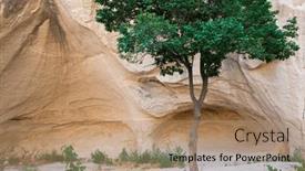  Presentation with cappadocia - Presentation theme featuring tree-grows-against-canyon-wall background and a coral colored foreground