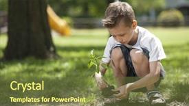  Presentation with tree planting - Slide set consisting of tree growth - little boy planting background and a tawny brown colored foreground