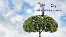  Presentation with how to make puto - PPT layouts featuring tree growth - make your income grow background and a sky blue colored foreground