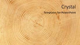  Presentation with growth - Audience pleasing theme consisting of tree growth - slice of wood timber natural backdrop and a yellow colored foreground