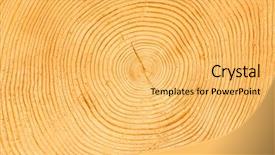  Presentation with growth - Theme featuring tree growth - slice of wood timber natural background and a yellow colored foreground