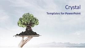  Presentation with green - Theme having tree growth professional development - man presenting green concept background and a sky blue colored foreground