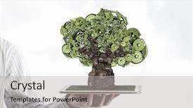  Presentation with green development - Audience pleasing PPT theme consisting of tree growth professional development - man presenting green concept backdrop and a light gray colored foreground