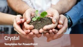  Presentation with life - Audience pleasing presentation consisting of tree hands - family care about new life backdrop and a tawny brown colored foreground