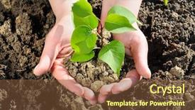  Presentation with green tree - Slides consisting of tree hands - green plant in the hand background and a tawny brown colored foreground