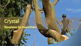  Presentation with rope - Presentation design featuring tree holding log with rope background and a tawny brown colored foreground