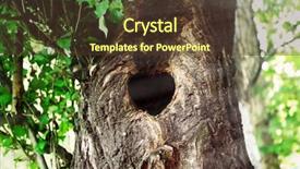  Presentation with heart shape tree - Cool new theme with tree hollow in heart shape backdrop and a tawny brown colored foreground