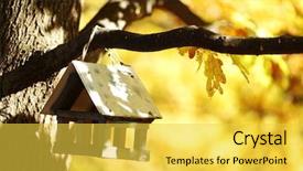  Presentation with house forest - Audience pleasing PPT layouts consisting of tree house - birdhouse in the autumn forest backdrop and a yellow colored foreground