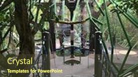  Presentation with children climbing - Beautiful PPT layouts featuring tree-house-children-climbing-activity backdrop and a tawny brown colored foreground