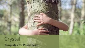  Presentation with giving - Colorful presentation theme enhanced with tree-hugging-little-boy-giving backdrop and a seafoam green colored foreground